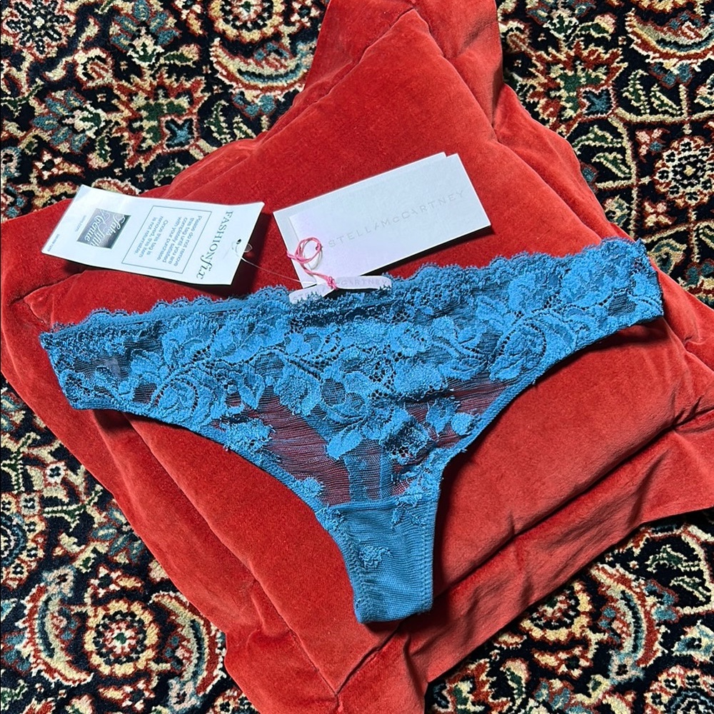 Stella McCartney NWT Antique Blue silk and lace thong M